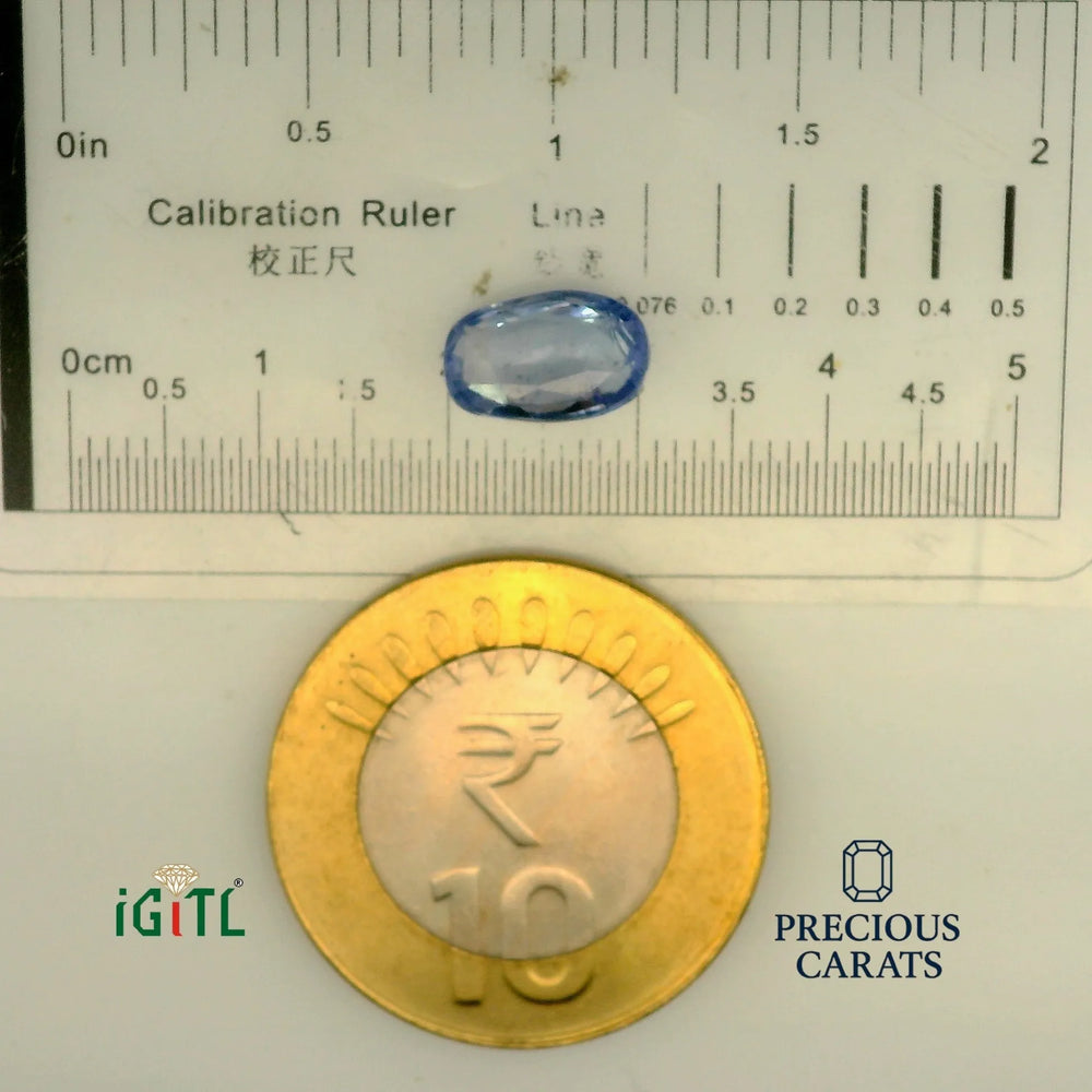 IGITL_197766_SCALE.webp