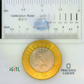 IGITL_197772_SCALE.webp