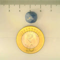 ITLGR_106676_SCALE.webp