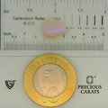 ITLGR_101930_SCALE.webp