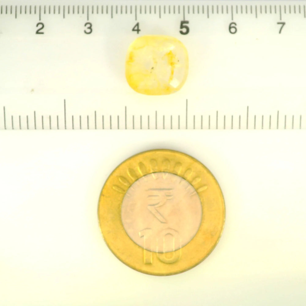 IGITL_205611_SCALE.webp