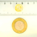 IGITL_205611_SCALE.webp
