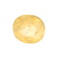 ITLGR_104934_FRONT.png