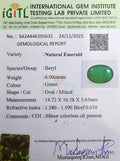 IGITL_205631_CERTIFICATE.webp