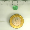 ITLGR_106879_SCALE.webp