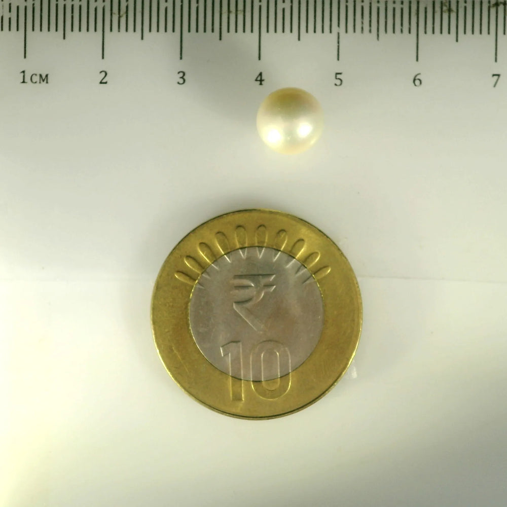 ITLGR_99849_SCALE.webp