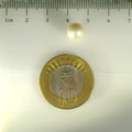 ITLGR_99849_SCALE.webp