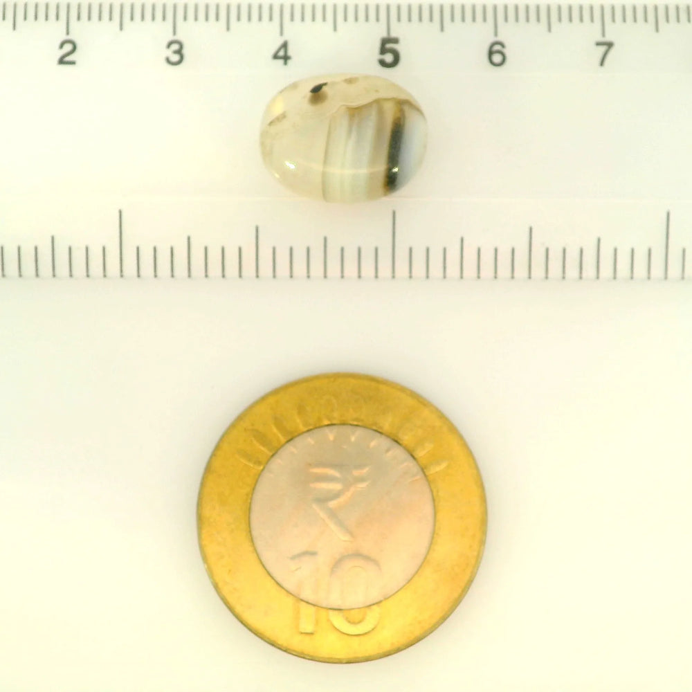 ITLGR_121464_SCALE.webp