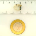 ITLGR_121464_SCALE.webp