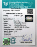 ITLGR_102006_CERTIFICATE.webp
