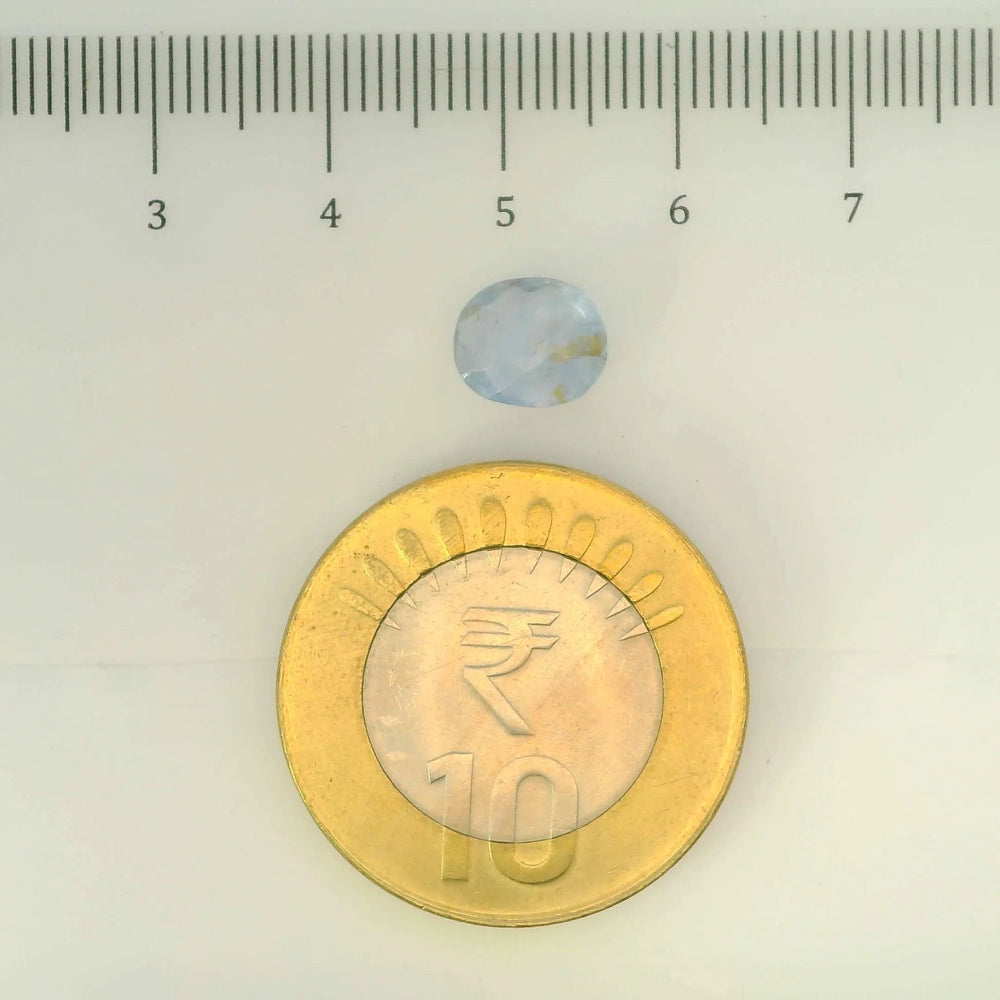 IGITL_200246_SCALE.webp