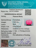 ITLGR_109884_CERTIFICATE.webp
