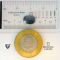 ITLGR_101057_SCALE.webp