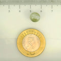 ITLGR_109809_SCALE.webp