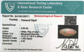 ITLGR_100571_CERTIFICATE.webp
