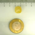 ITLGR_106759_SCALE.webp