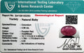 ITLGR_100283_CERTIFICATE.webp