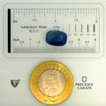 ITLGR_98985_SCALE.webp