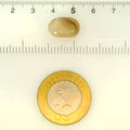 ITLGR_121459_SCALE.webp