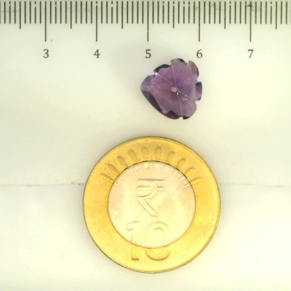 ITLGR_109465_SCALE.webp