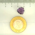 ITLGR_109465_SCALE.webp