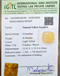 IGITL_194705_CERTIFICATE.webp