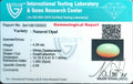 ITLGR_100503_CERTIFICATE.webp