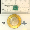 ITLGR_100249_SCALE.webp