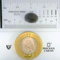 ITLGR_101645_SCALE.webp