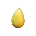 ITLGR_100557_FRONT.png