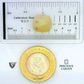 ITLGR_99044_SCALE.webp