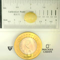 ITLGR_100513_SCALE.webp