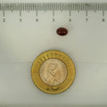 ITLGR_113262_SCALE.webp