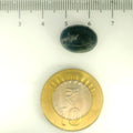 ITLGR_109296_SCALE.webp