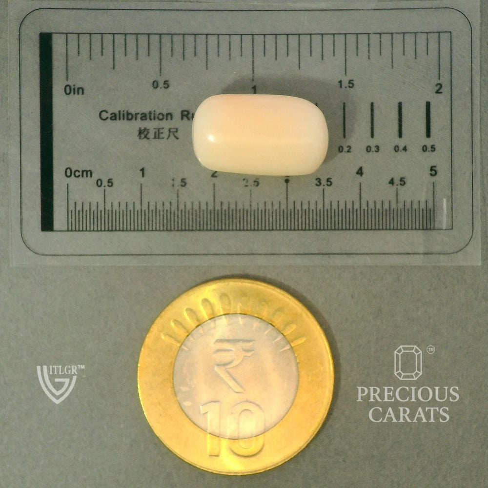 ITLGR_102021_SCALE.webp