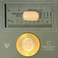 ITLGR_102021_SCALE.webp