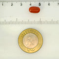 ITLGR_121349_SCALE.webp