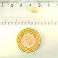 IIGJ_12879D53006_SCALE.webp