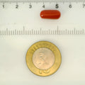 ITLGR_121336_SCALE.webp