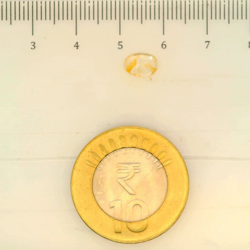 ITLGR_104930_SCALE.webp