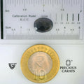 ITLGR_101662_SCALE.webp