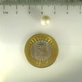ITLGR_99850_SCALE.webp