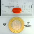 ITLGR_104519_SCALE.webp