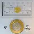 ITLGR_98892_SCALE.webp