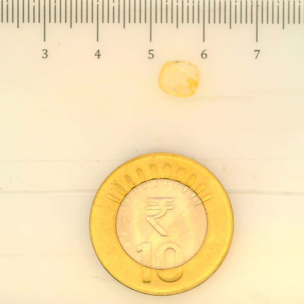 ITLGR_104979_SCALE.webp