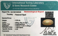 ITLGR_100528_CERTIFICATE.webp