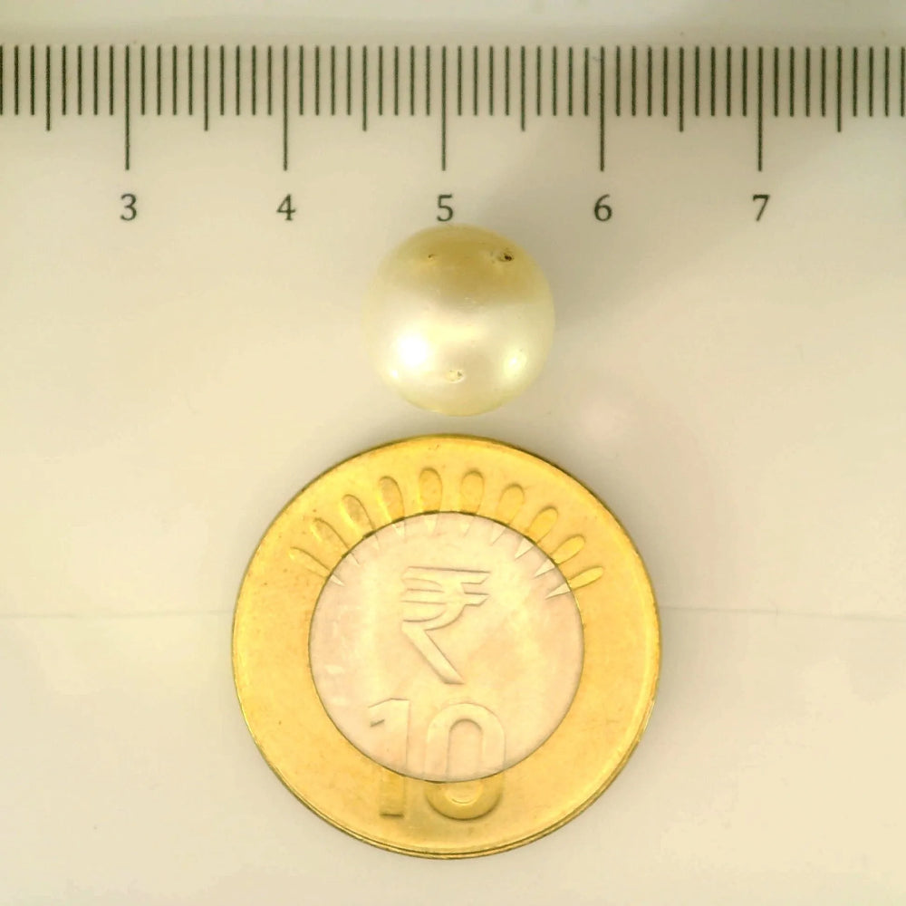 ITLGR_106924_SCALE.webp