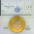 IGITL_197783_SCALE.webp
