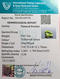 ITLGR_109370_CERTIFICATE.webp
