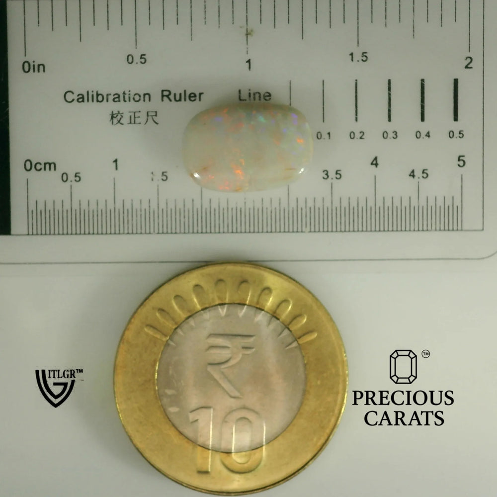 ITLGR_102008_SCALE.webp